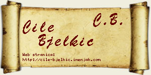 Ćile Bjelkić vizit kartica